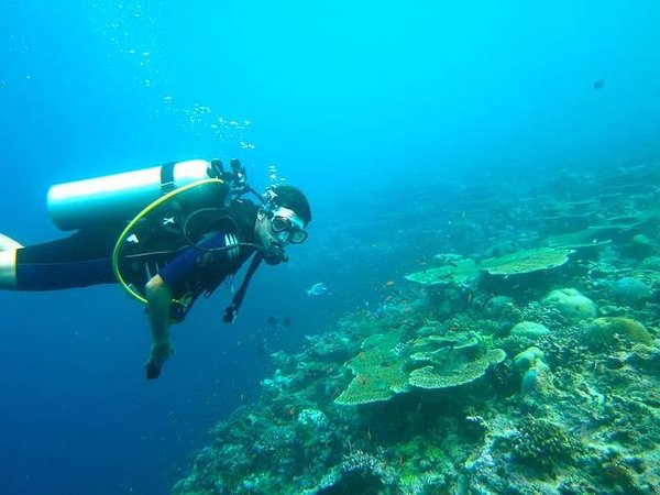 Tout savoir sur la plongée dans le Var : découvrez comment et où pratiquer cette discipline !